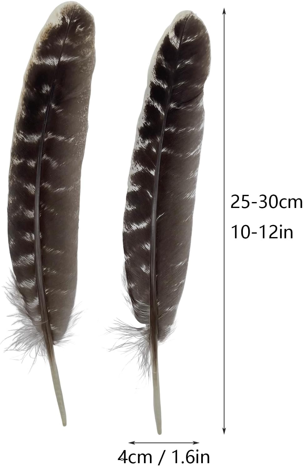 Plumas de Pavo Naturales, Aleja la Energía Negativa, Limpia un Espacio o el Cuerpo